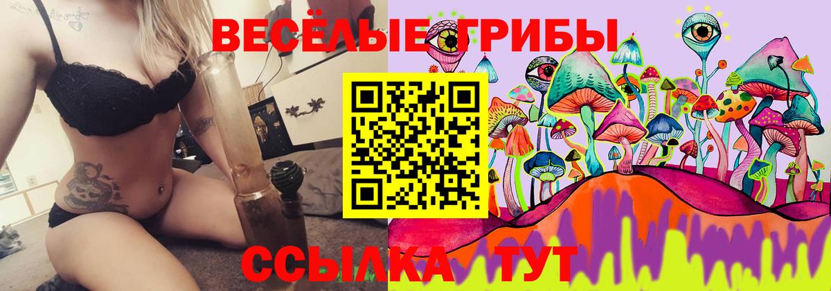 Краснодар  Псилоцибиновые грибы ЛСД  купить  цена  Вход с VPN 